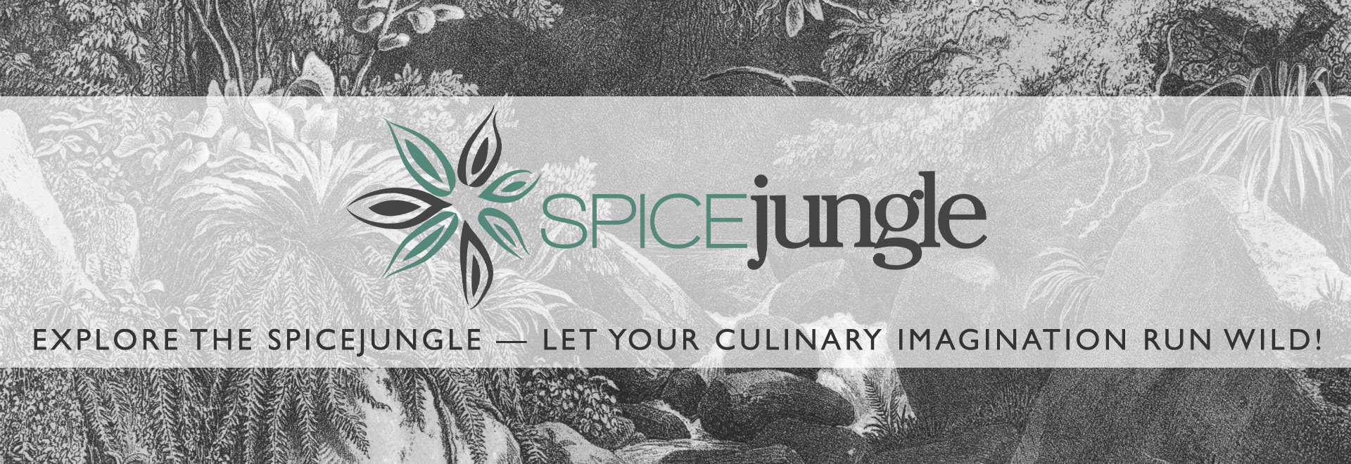 Spicejungle Banner 1 Spicejungle Banner 1