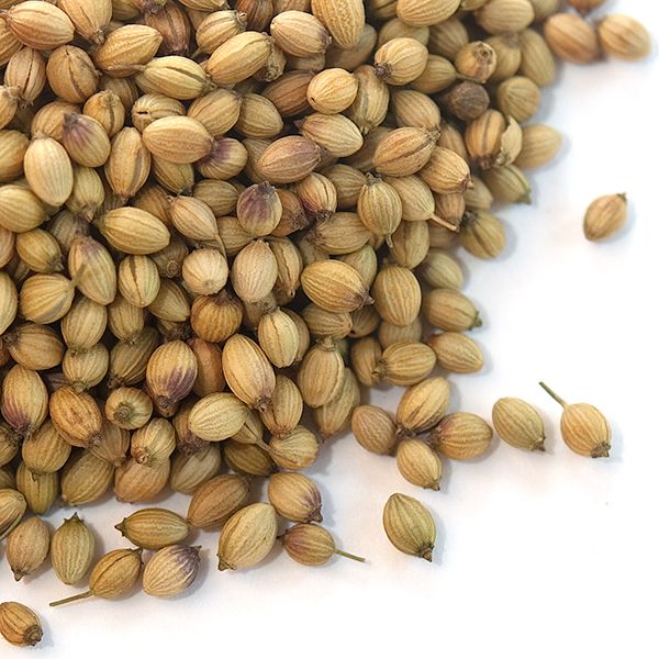 Coriander seeds store