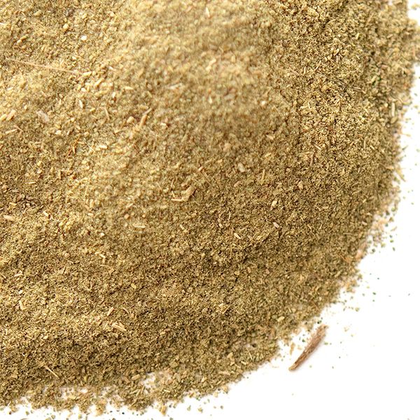 seeds echinacea ECHINACEA Seeds, Purpurea