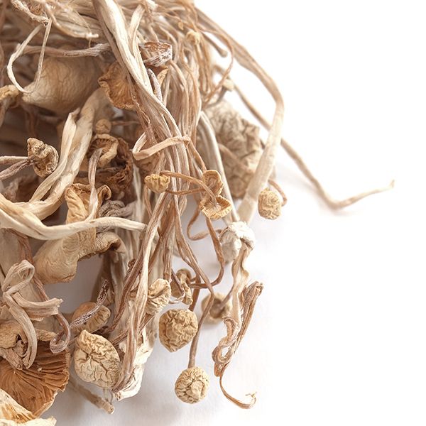 Enoki Mushrooms, Whole (Dried)