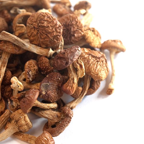 Dried Nameko Mushrooms, Whole | Dehydrated Forest Nameko