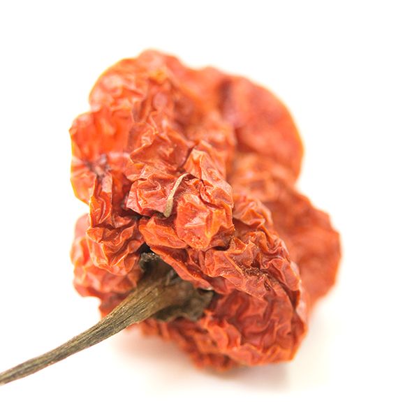 Scotch Bonnet Pepper