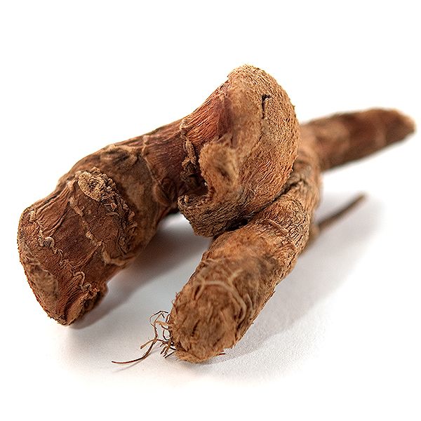 Whole Galangal