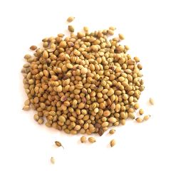 Extra Bold Coriander Seeds