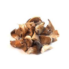 Oyster Mushrooms, Whole (Dried) - 4 oz Bag