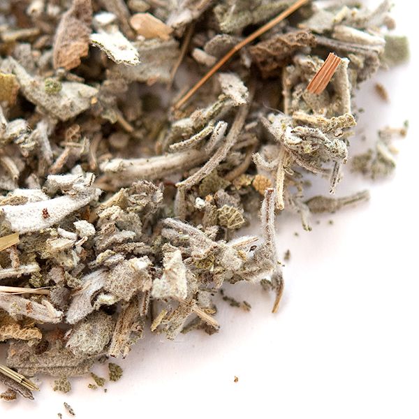 Bulk Dalmatian Sage Buy Sage