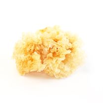 Cauliflower Mushrooms, Dried