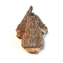 Morel Mushrooms, Dried