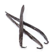 Vanilla Beans (Indonesian)