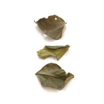 Makrut Lime Leaves