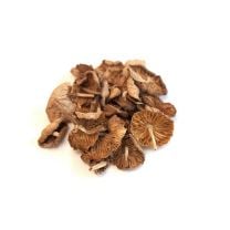 Mousseron Mushrooms, Dried