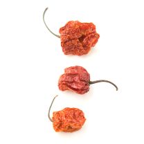 Scotch Bonnet Pepper