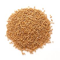 Mustard Seeds, Yellow