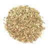 Fennel Seeds