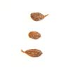 Cardamom, Red (Cao Guo)