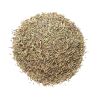 Thyme, Dried