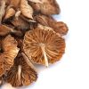 Mousseron Mushrooms, Whole (Dried)