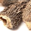 Morel Mushrooms, Whole (Dried)