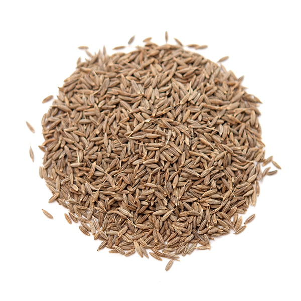 Cumin Seed