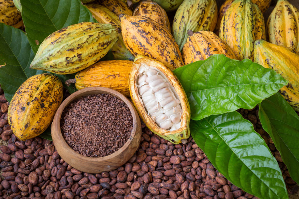 Cocoa Beans