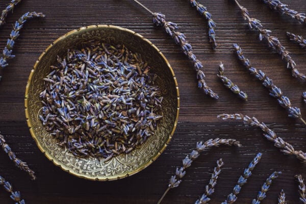 Culinary Lavender Bud — The Lavender Kitchen